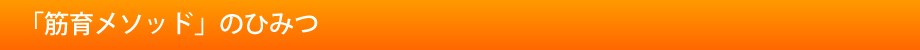 筋育メソッドのひみつ